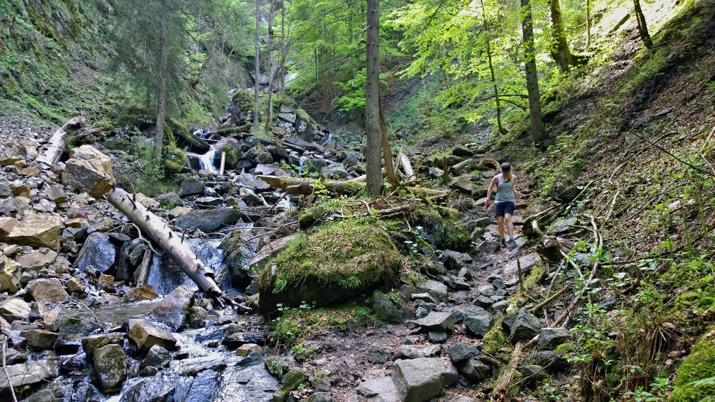 Alpspitze - Nesselwang - Wasserfallweg