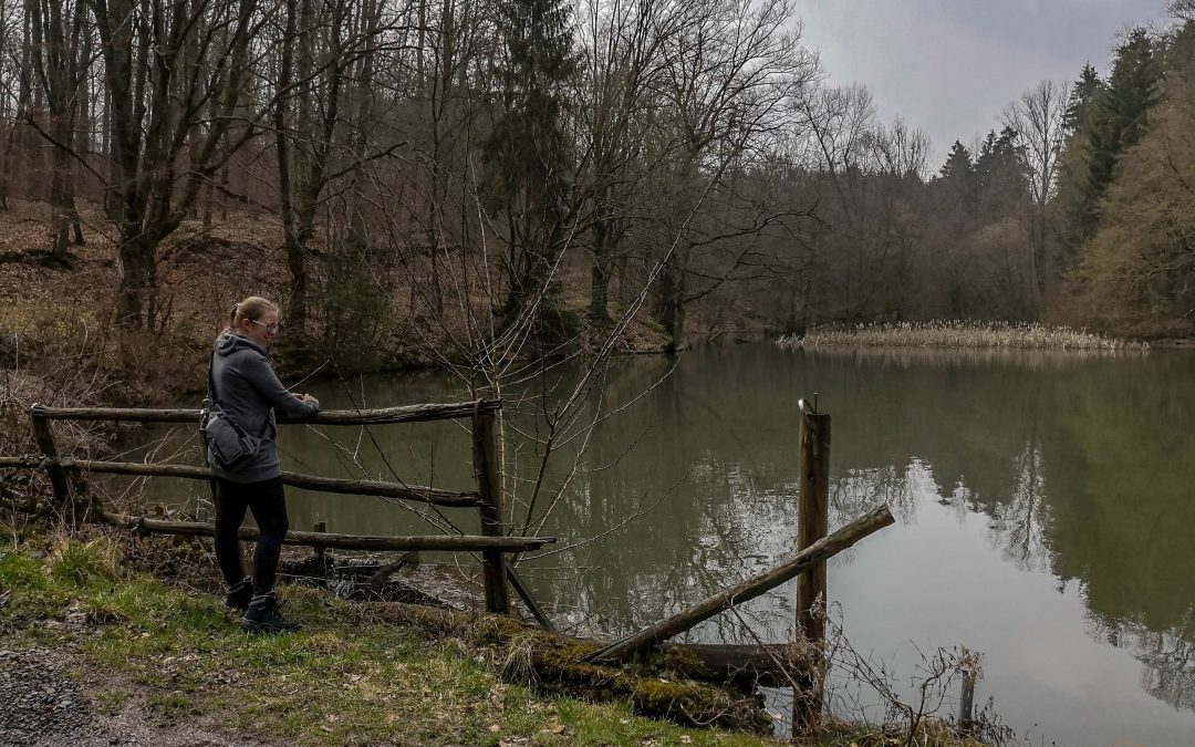 Die Redener Bergbau Trilogie – Teil 2: Der Höfertaler Wald Pfad