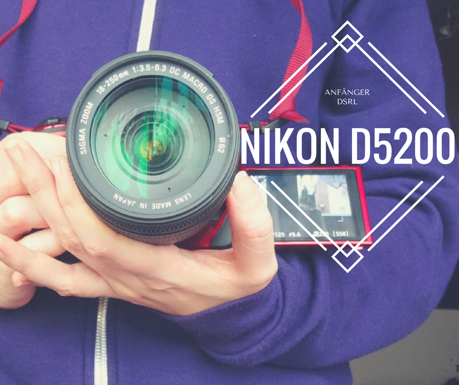 2017-02 NikonD5200-7