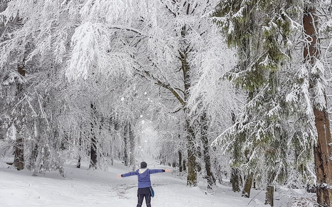 Ein paar Stunden… im Schnee | Winter Wonderland auf dem Erbeskopf im Nationalpark Hunsrück-Hochwald