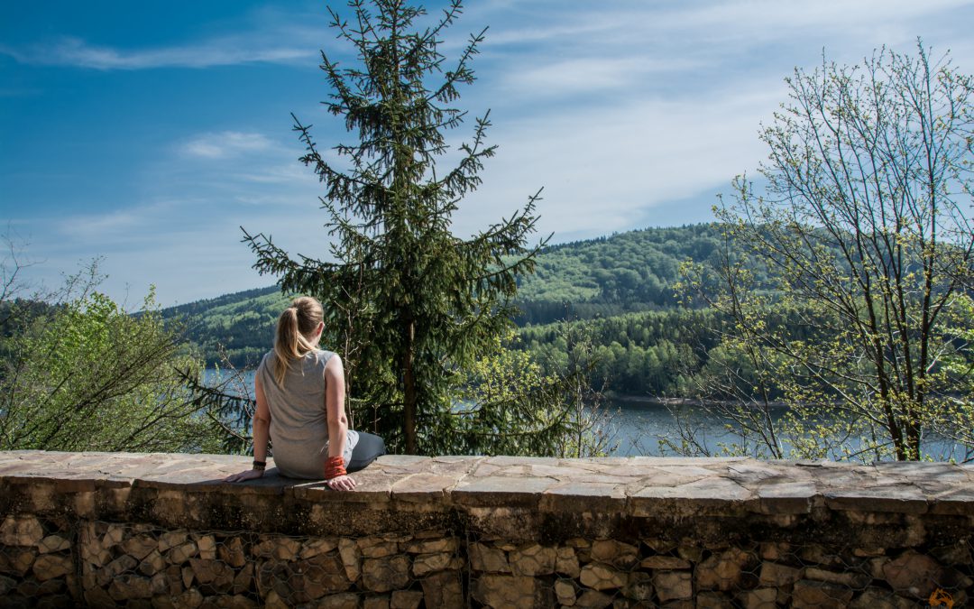 Endlich ist alles grün! | Wir begrüßen den Frühling auf dem Planetenwanderweg rund um die Primstalsperre