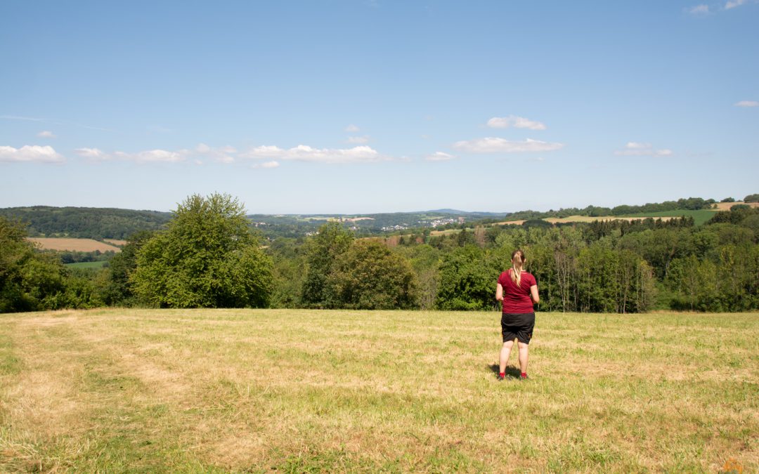 Schöne Aussichten und etwas Nervenkitzel auf dem SchauInsLandWeg bei Ottweiler (Saarland)