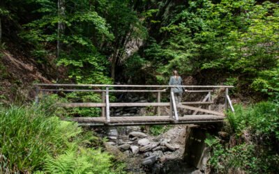 Schluchten- und Brückenpfad im Helletal | Alpenfeeling mitten in Winterberg im Sauerland