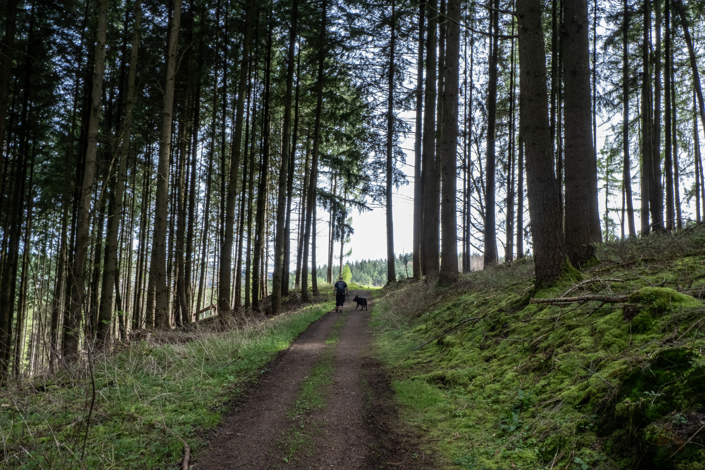 Traumschleife kleiner Lückner | Saar-Hunsrück | Saarland 