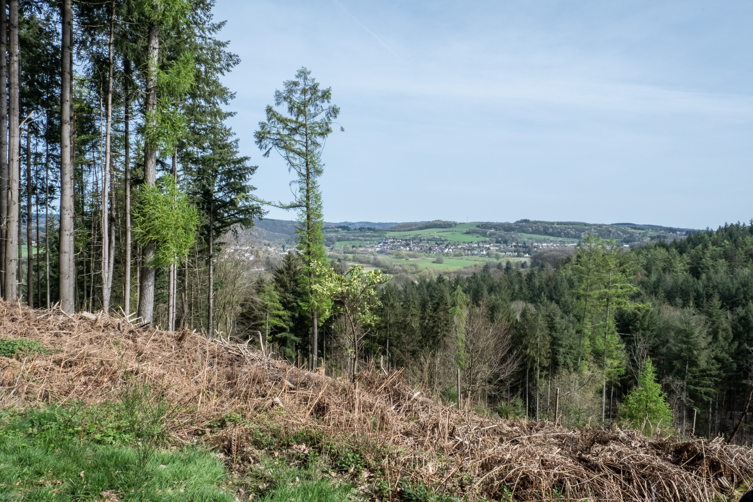 Traumschleife kleiner Lückner | Saar-Hunsrück | Saarland 